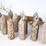 Fossilized Shell Jasper