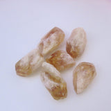 Citrine Root