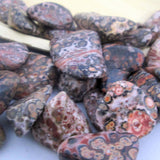 Leopard Skin Jasper Tumble