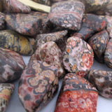 Leopard Skin Jasper Tumble