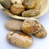 Picture Jasper