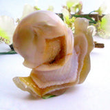 Agate Snail with Druzy