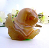 Agate Snail with Druzy