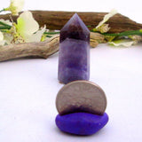 Chevron Amethyst Point