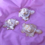 Flower Agate Turtle