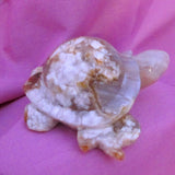 Flower Agate Turtle