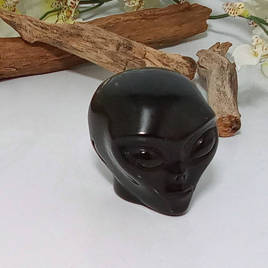 Black Obsidian Alien Skull – Mystical Moons