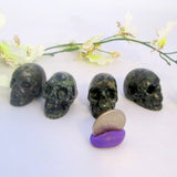 Kambaba Jasper Skull