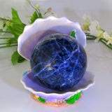Oyster Shell Sphere Stand