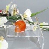 Carnelian Skull