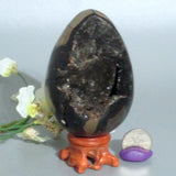 Septarian‎ Egg Druzy Geode Specimen