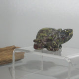 Dragon Blood Jasper Turtle