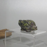 Dragon Blood Jasper Turtle