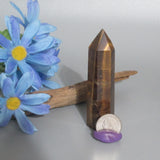 Tigers Eye Point