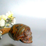 Bamboo Leaf Jasper Skull