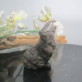 Spiderweb Jasper Wolf