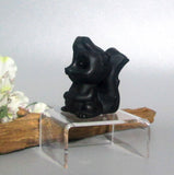 Black Obsidian Squirrel