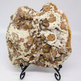 Flower Agate Slab