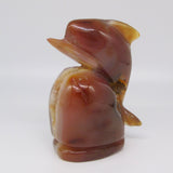 Carnelian Dolphin with Druzy