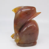 Carnelian Dolphin with Druzy