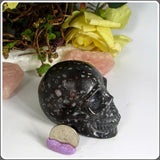 Plum Blossom Jade Skull