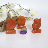 Carnelian Owl