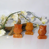 Carnelian Owl