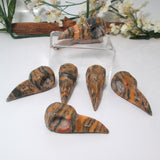 Tiger Iron Jasper Raven Head