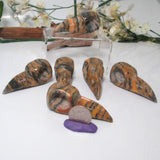 Tiger Iron Jasper Raven Head