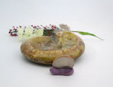 Ammonite Bowl