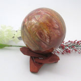 Petrified Wood Sphere