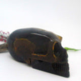 Tigers Eye Skull