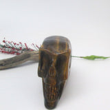 Tigers Eye Skull