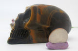 Tigers Eye Skull