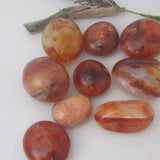 Calming Carnelian Palm