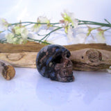 Que Sera Skull