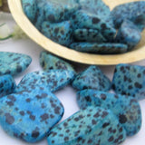 Blue Dalmatian Tumble