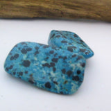 Blue Dalmatian Tumble