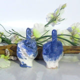 Sodalite Middle Finger