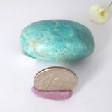 Amazonite Palm