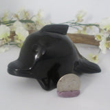 Black Obsidian Dolphin