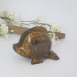 Tigers Eye Dolphin Totem