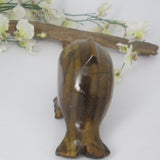 Tigers Eye Dolphin Totem