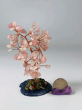 Rose Quartz Tree of Life Tree Agate Base