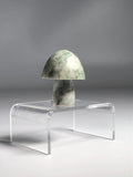 Hsiuyen Jade Mushroom