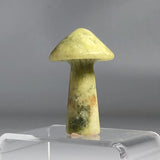 Indian Agate Mushroom