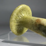 Indian Agate Mushroom