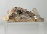 Clear Quartz Point Cluster