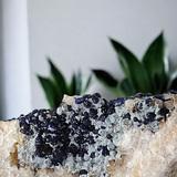 Azurite with Goethite