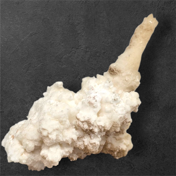 Stalactite